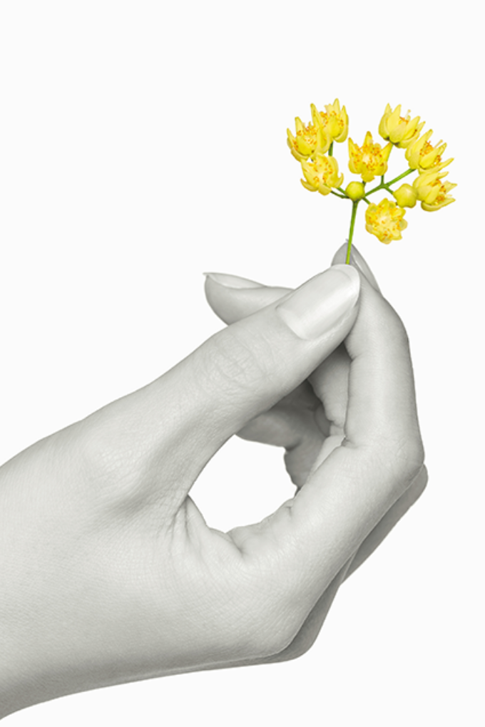 「リンデンアロマ」で贅沢な香りに包まれた至高のスキンケア時間を