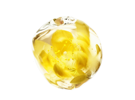 THE GINZA リンデンエキス(肌保護*1)